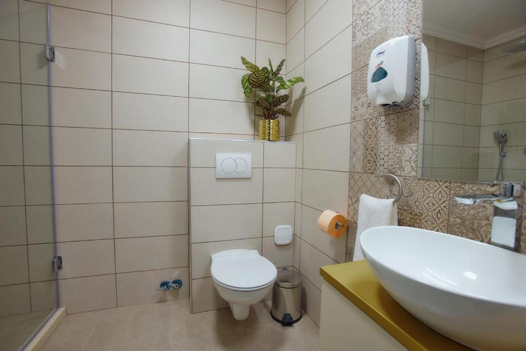Hotel Imperium Botiz Екстер'єр фото